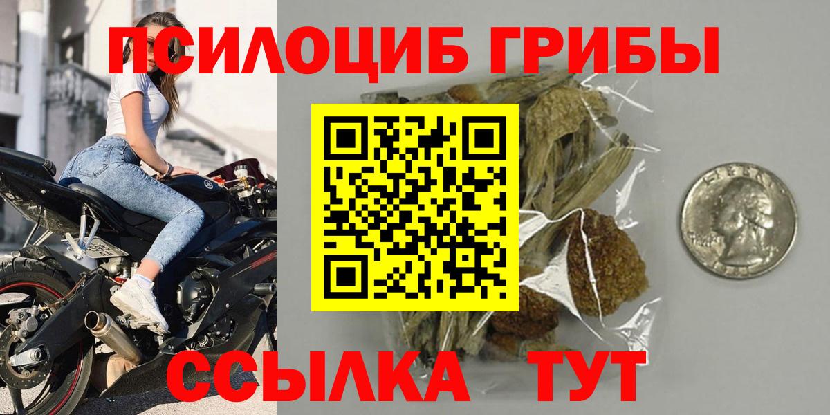 Псилоцибиновые грибы Psilocybe Севастополь